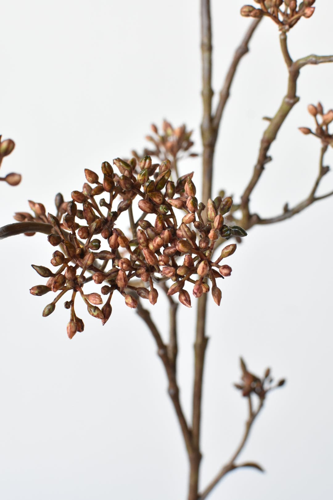 38&#x22; Faux Brown Sedum Berry Branch