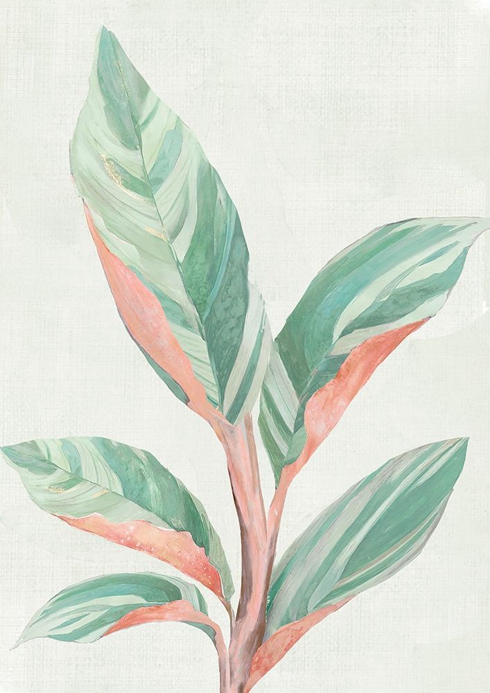 Ginger Plant II by Maya Woods - Item # VARPDXMW201A