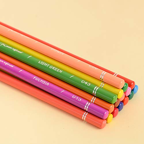 48 Premium Colored Pencils for Adult Coloring,Artist Soft Series Lead Cores with Vibrant Colors,Professional Oil Based Colored Pencils,Coloring Pencils for Adults and Kids,Drawing Pencils,Art Pencils