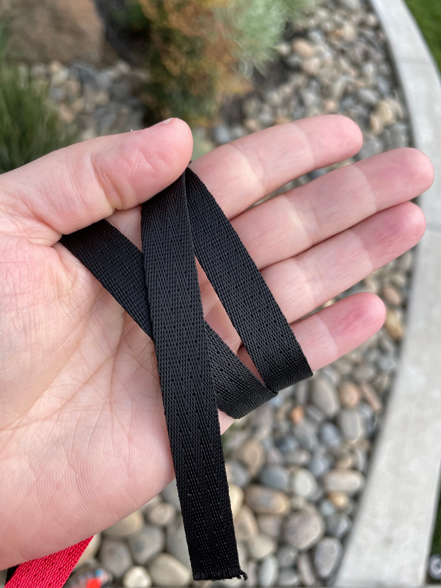 Black 1/2&#x201D; Seatbelt Webbing (by the yard)