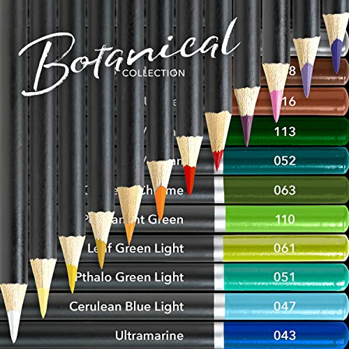 Themed 24 Colored Pencil Set in Tin Box, perfect colors for ‘Botanical’ Art. Featuring quality, smooth colored cores, superior blending & layering performance for great results
