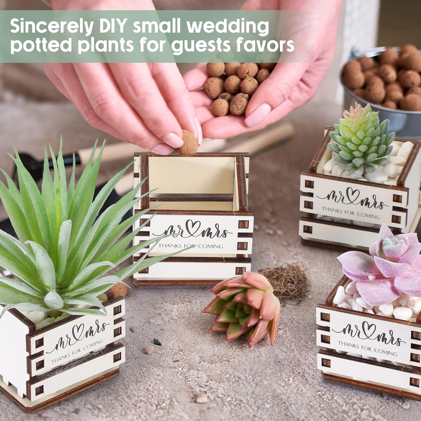 50 Set Mini Succulent Pots