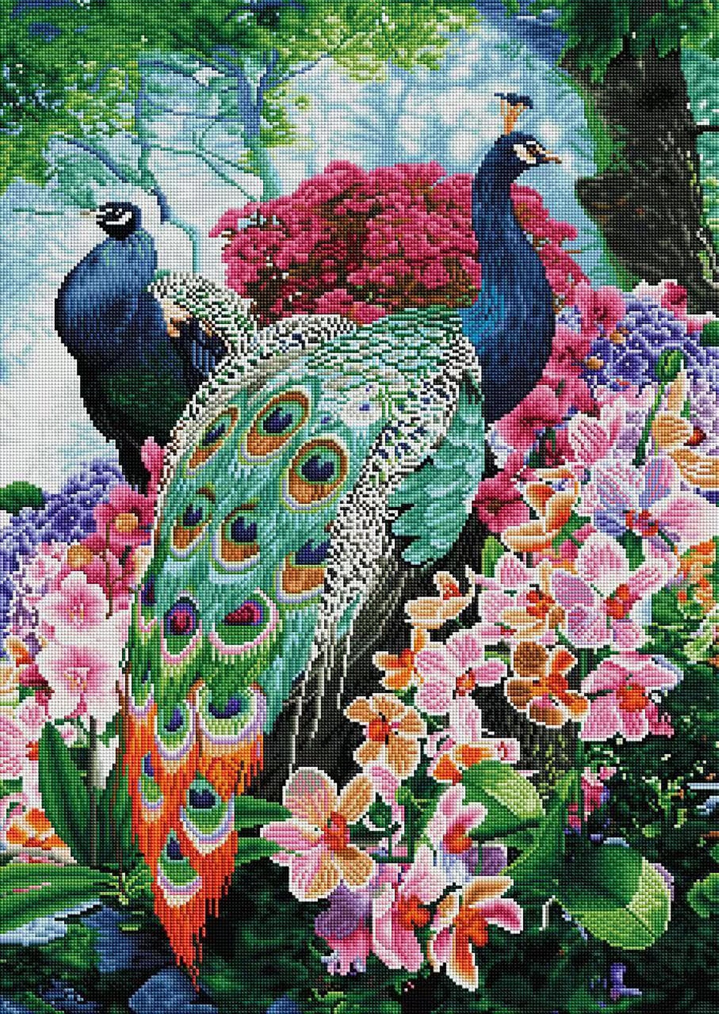 Peacock