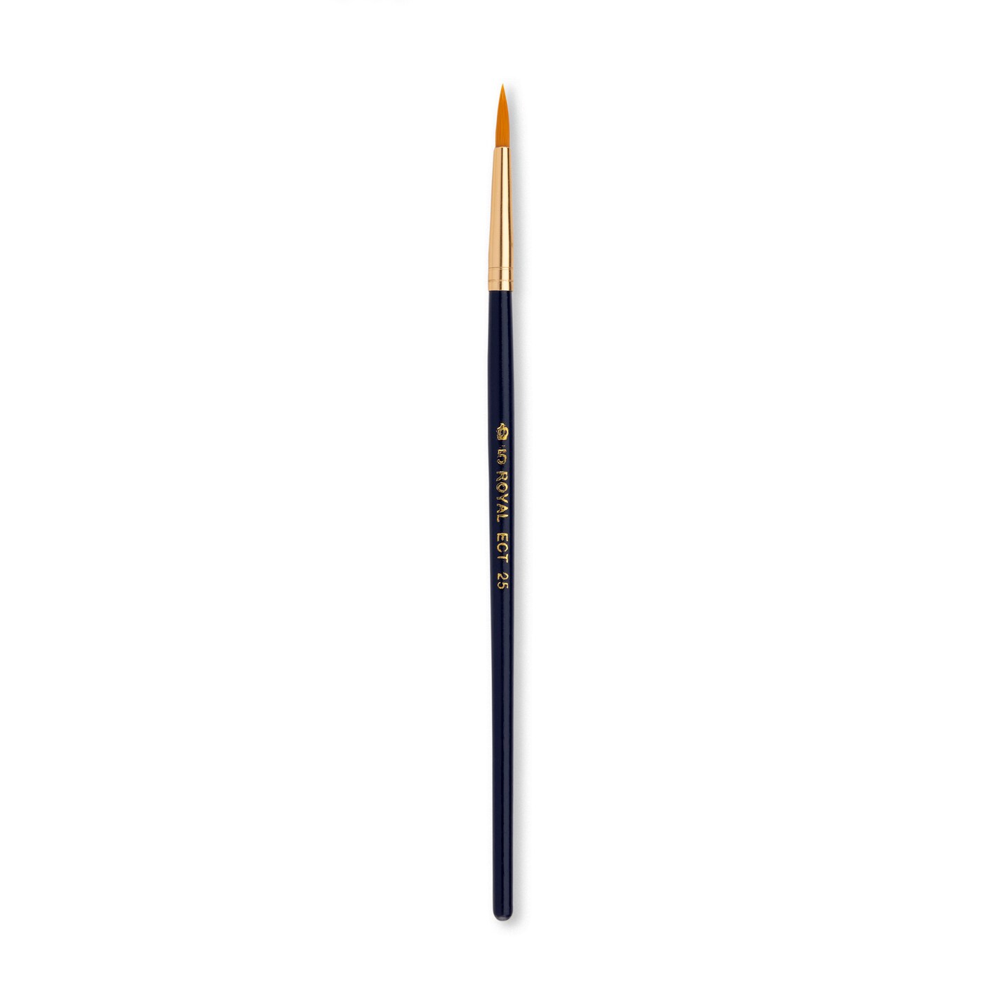 School Grade Golden Taklon Round Brushes – Rileystreet Art Supply