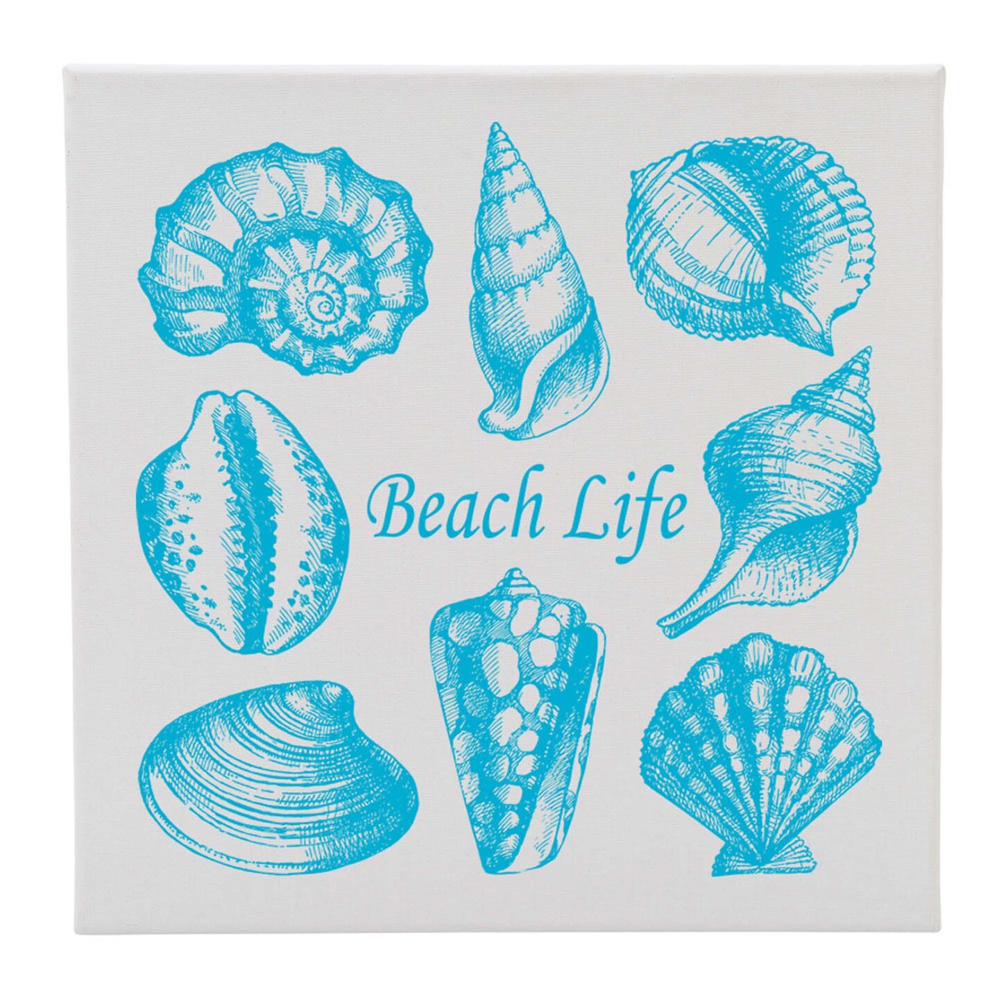 Contemporary Home Living 12" White Square Canvas in Wooden Frame with Sea Shells Design