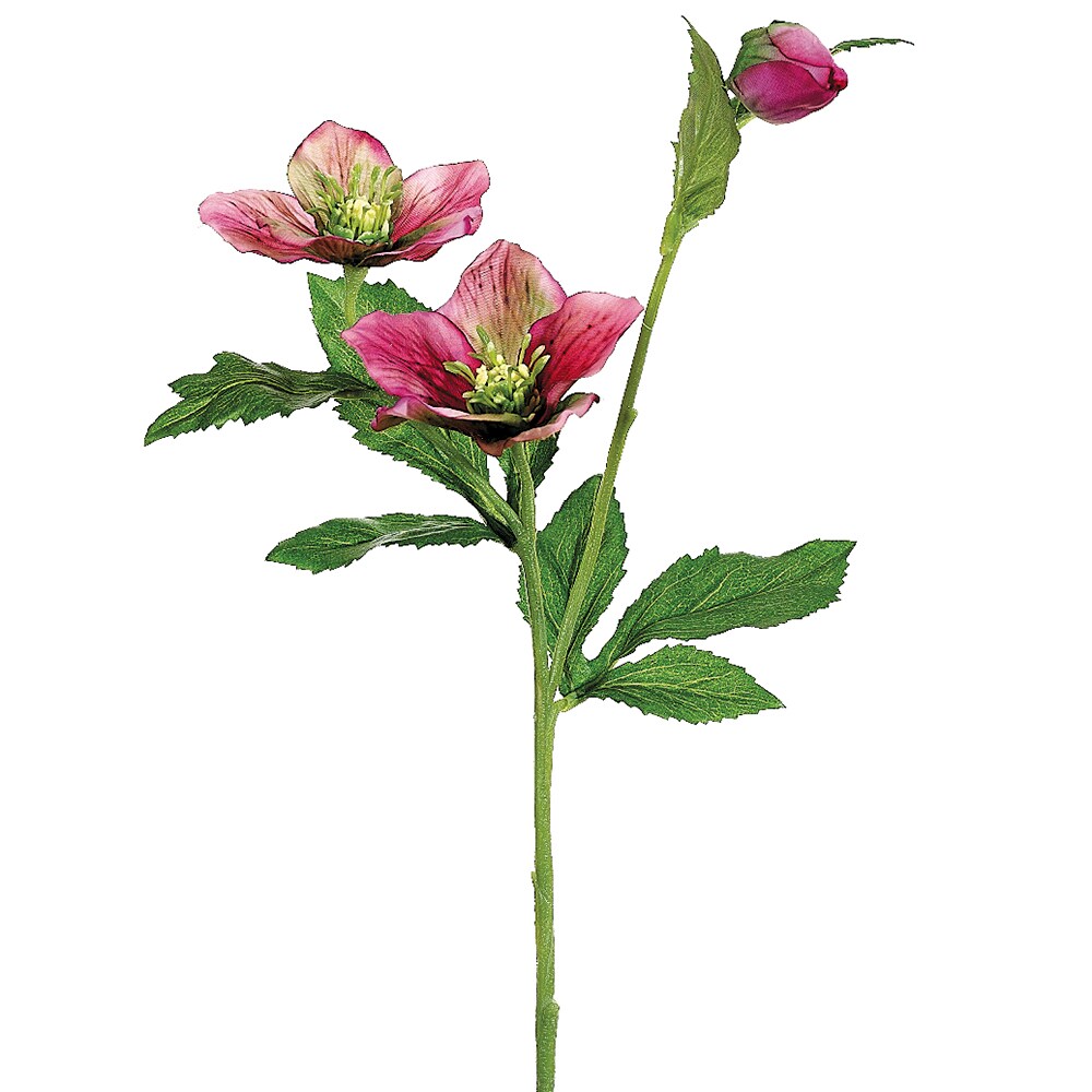 Allstate 22&#x22; Pink Helleborus Artificial Decorative Spray