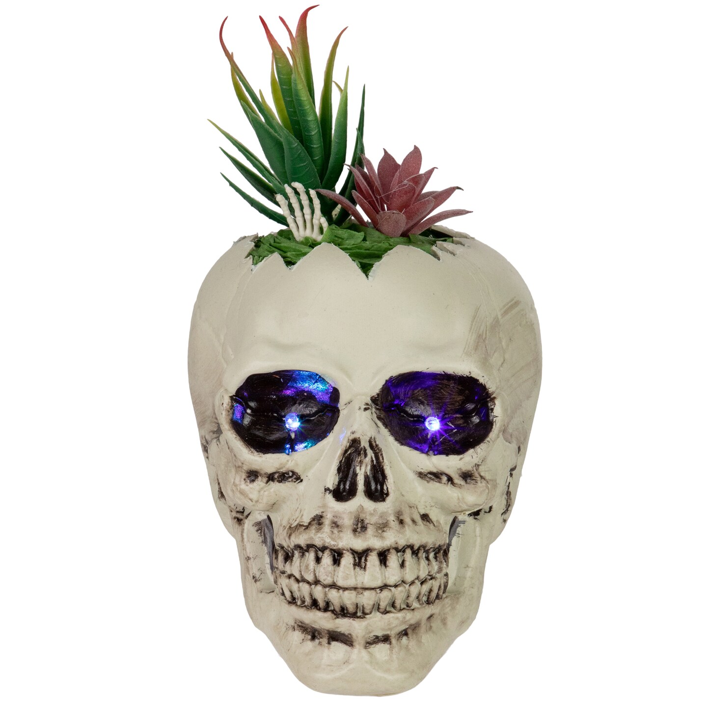 Northlight LED Lighted Succulent Halloween Skull Planter - 8.75&#x22;