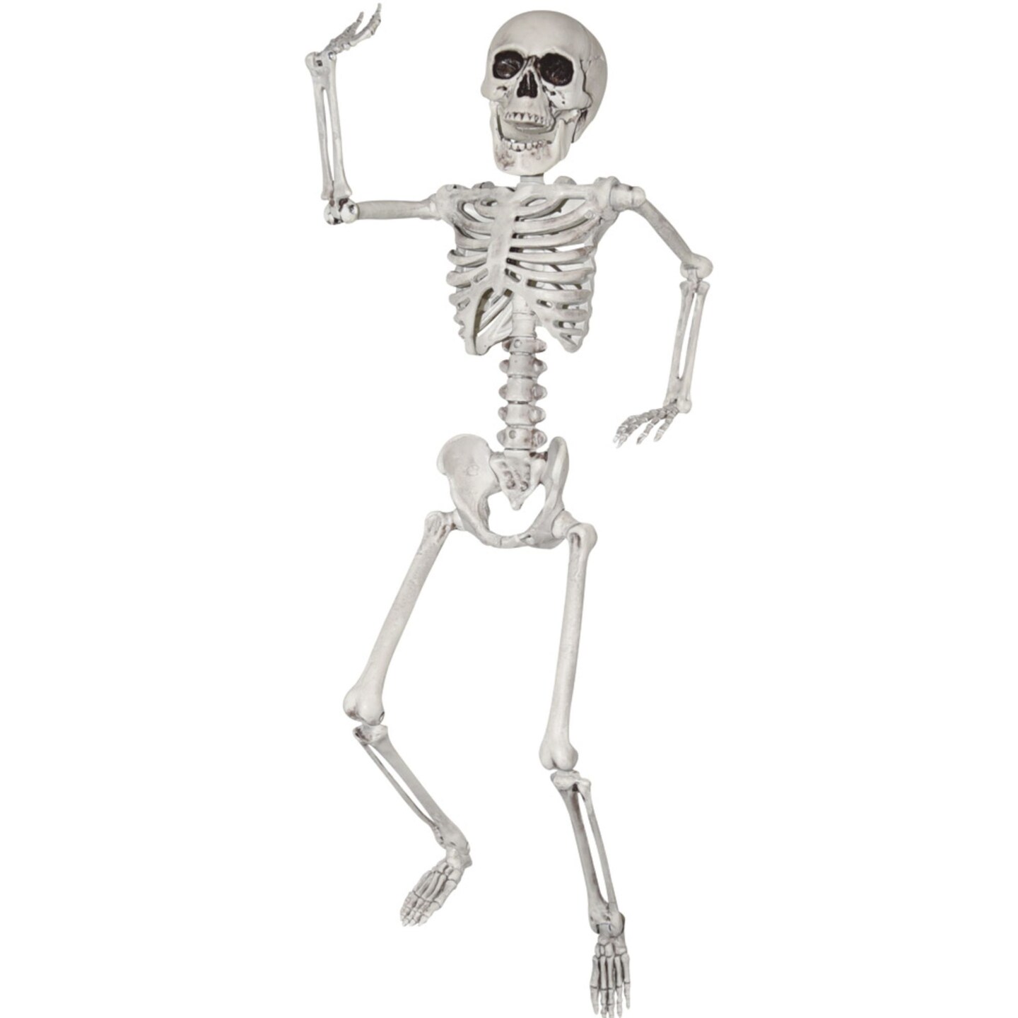 The Costume Center 24&#x27;&#x27; White and Black Human Skeleton Halloween Prop