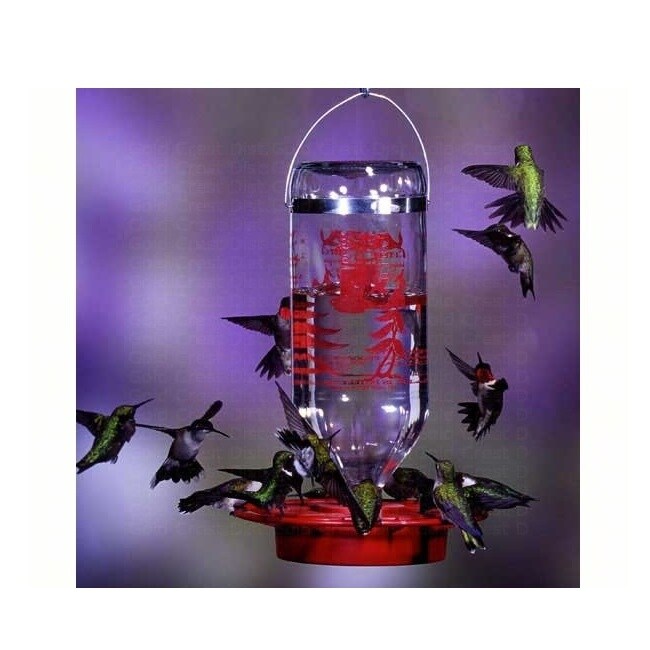 GC Home & Garden 10" Clear and Red Hummingbird Water Bulk Glass Nectar Bottle Feeder 32 oz.