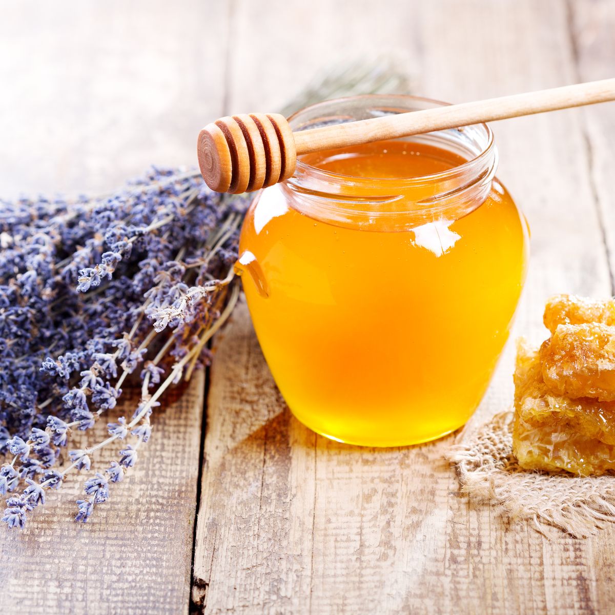 French Lavender &#x26; Honey Fragrance Oil (Our Version of the Brand Name) (16 oz Bottle) for Candle Making, Soap Making, Tart Making, Room Sprays, Lotions, Car Fresheners, Slime, Bath Bombs, Warmers&#x2026;
