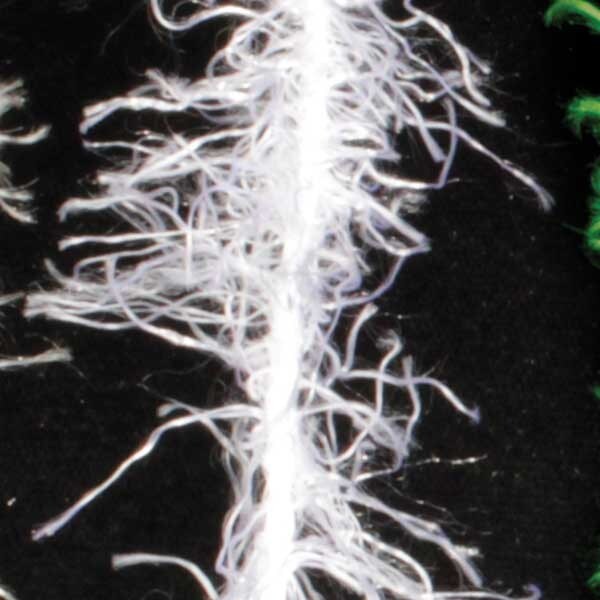 The Ribbon People Soft and Silky White Feather Boa Craft Ribbon Trim 1" x 110 Yards