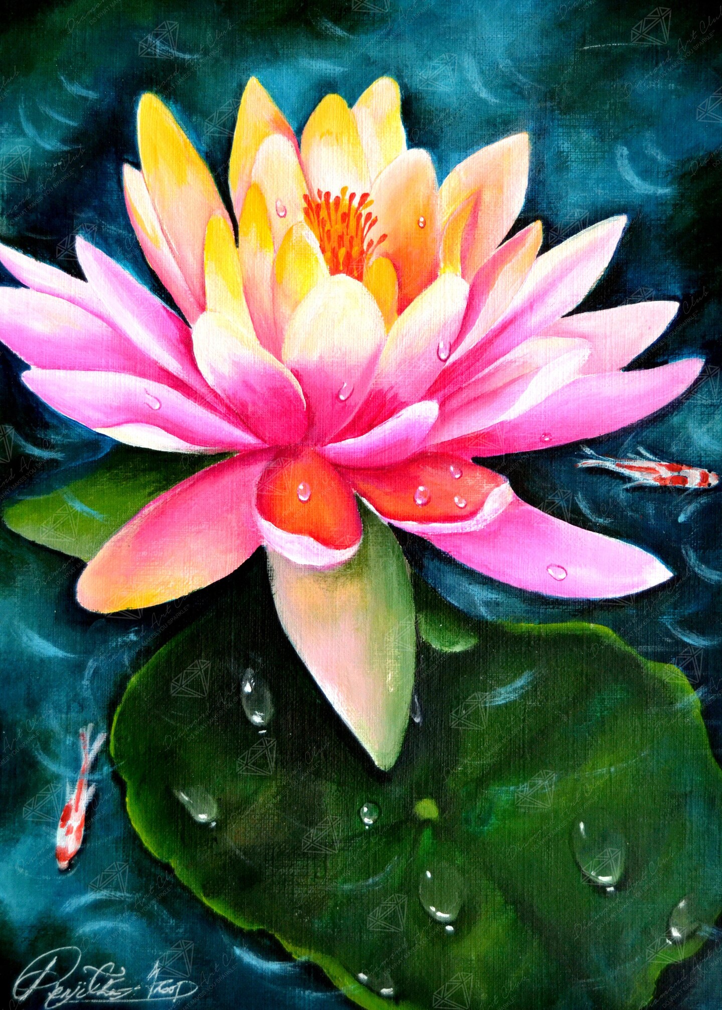 Lotus Koi Fish