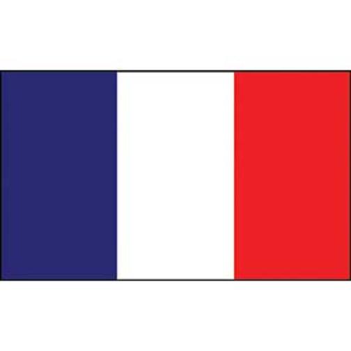 France Flag with Grommets 2ft x 3ft
