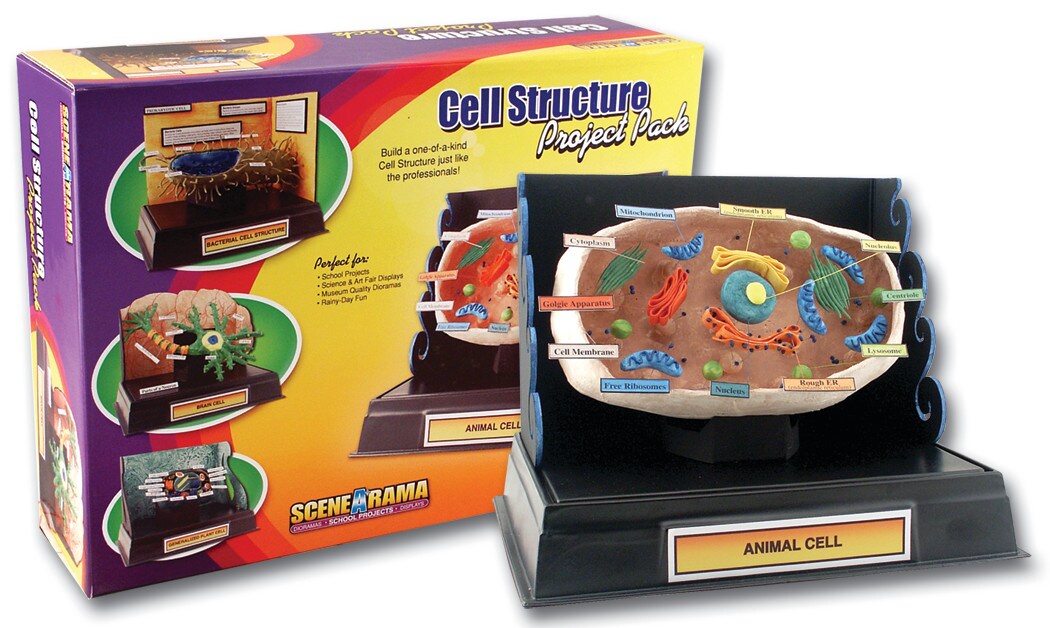 Woodland Scenics Scene-A-Rama Project Pack, Cell Structure Kit
