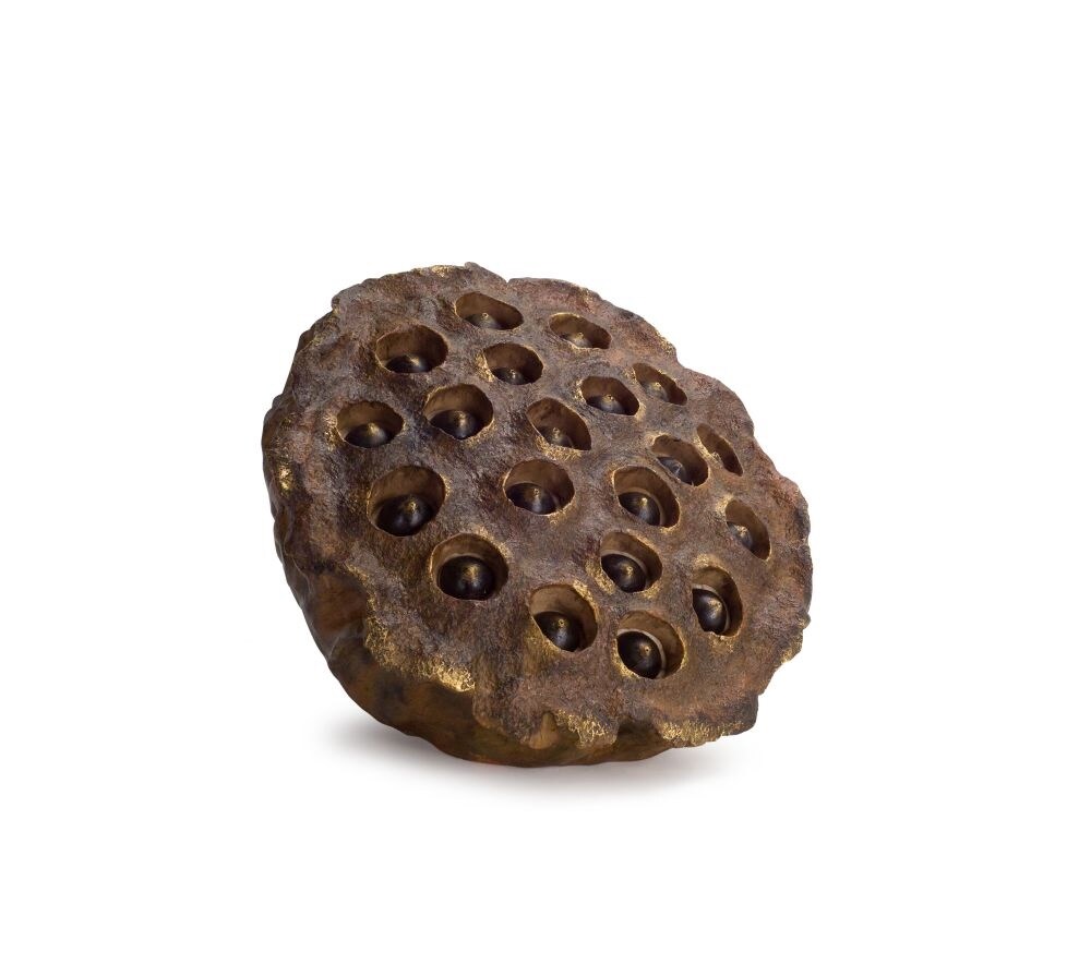 Melrose 11.5&#x201D; Brown Decorative Lotus Flower Inspired Seed Pods Wall or Table Decoration