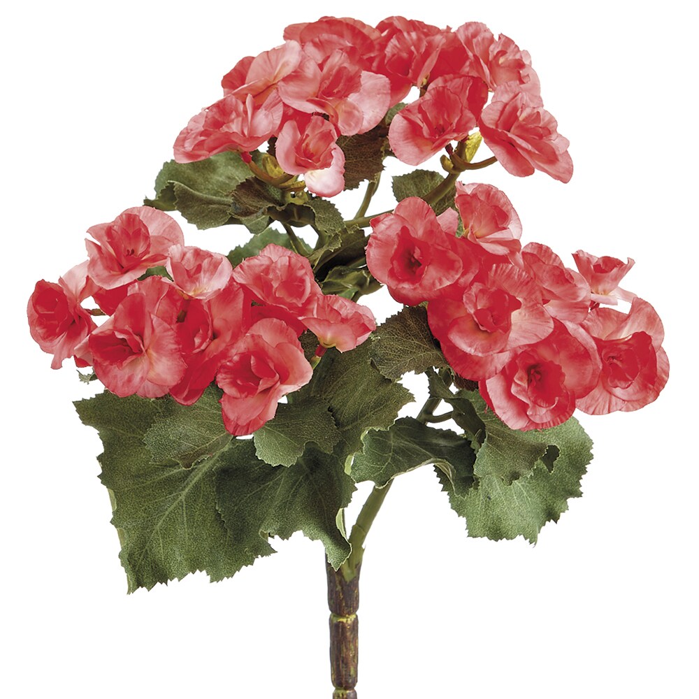 Allstate 10&#x22; Watermelon Red and Green Artificial Begonia Floral Bush