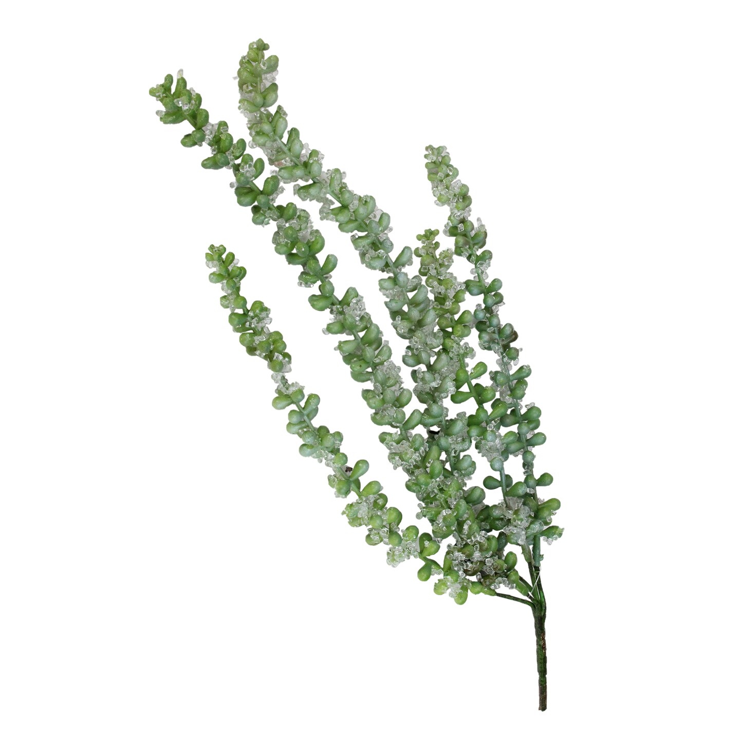 Allstate Donkey's Tail Icy Succulent Artificial Christmas Spray - 16.5" - Green
