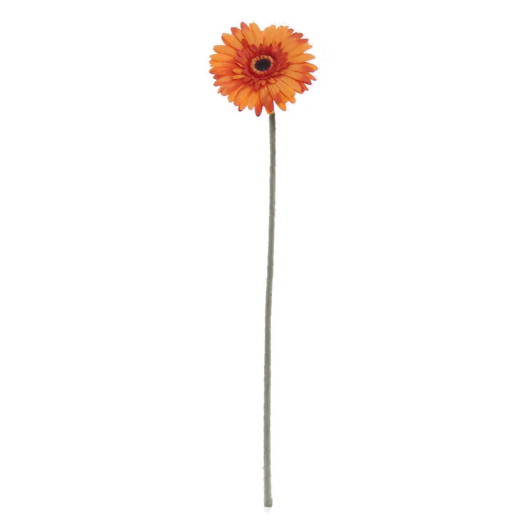24-Pack: Orange Gerbera Daisy Flower Stem by Floral Home&#xAE;