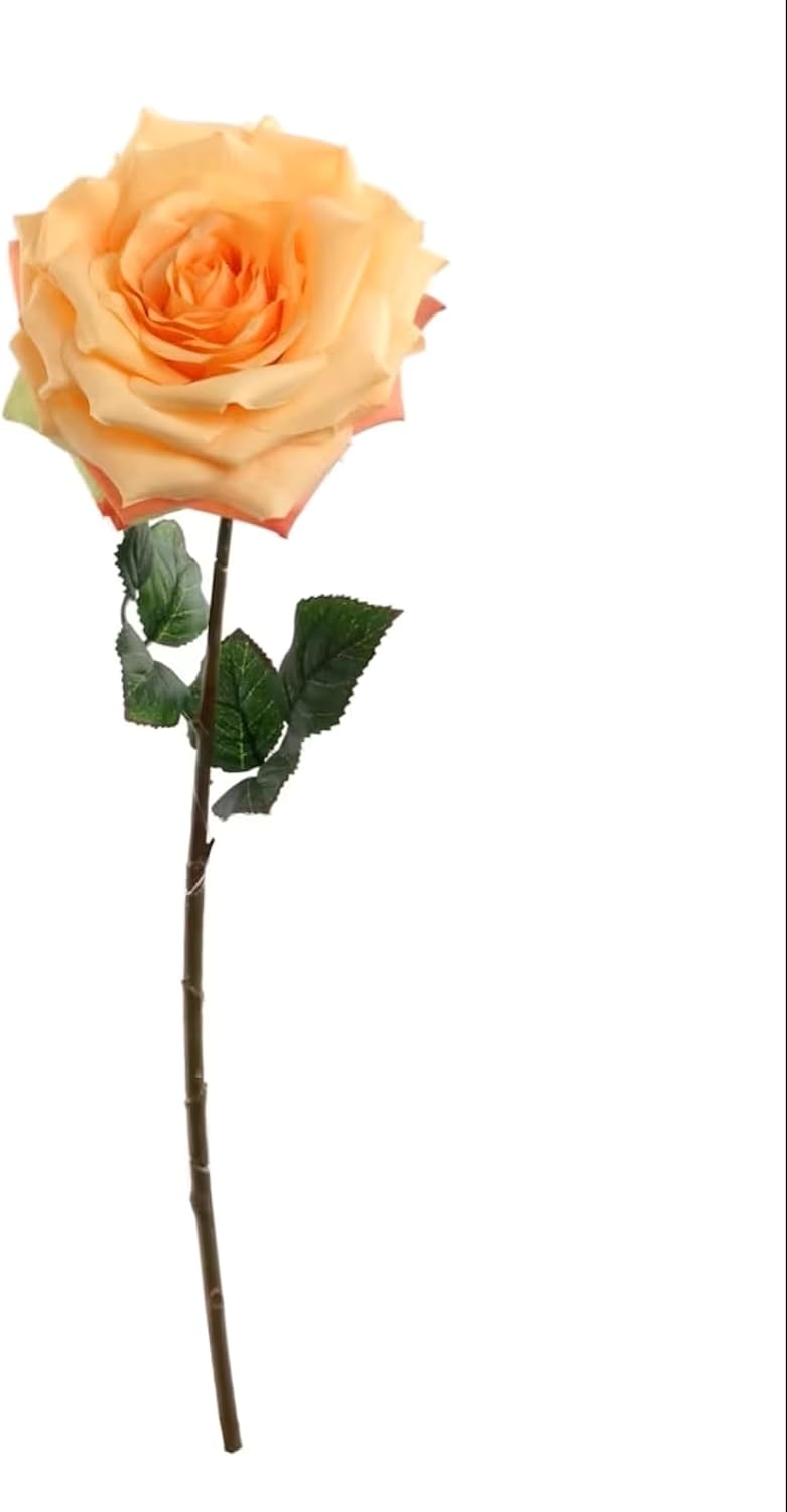 12-Pack: Open Rose Stem with Lifelike Silk Foliage, Floral Home by Artificial Flowers