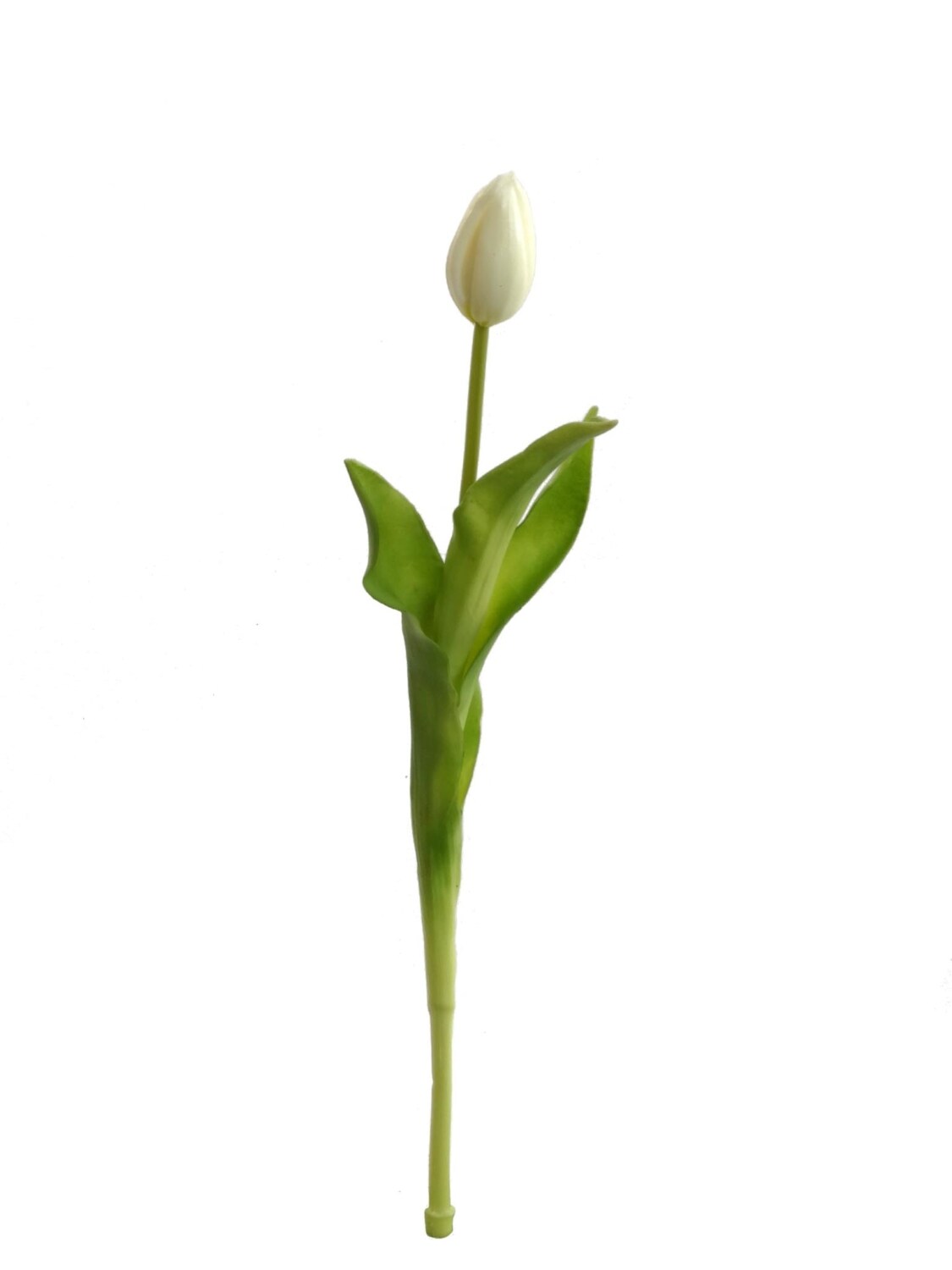 Exquisite Set of 24 Cream Real Touch Tulip Buds, 17&#x22; - Lifelike Floral Accents for Home Decor and Arrangements