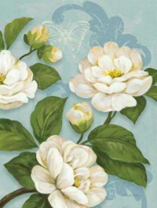 Camellias Poster Print by Pamela Gladding - Item # VARPDXGLA569