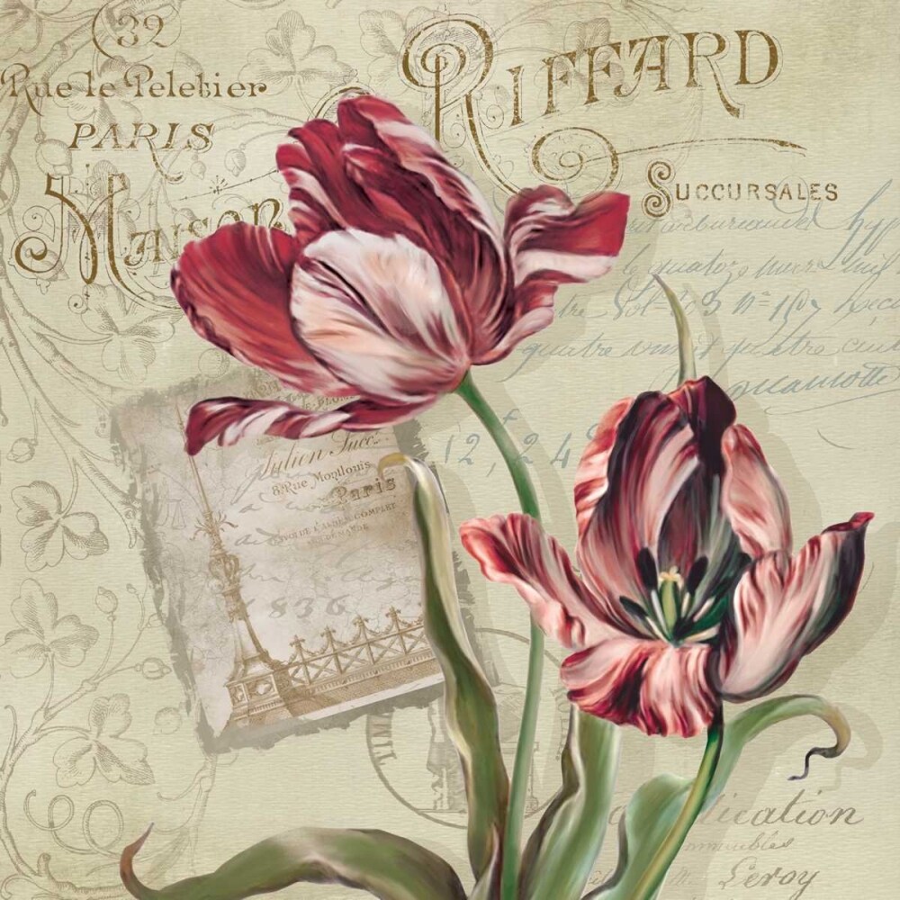 French Tulips II Poster Print by Carol Robinson - Item # VARPDX15282