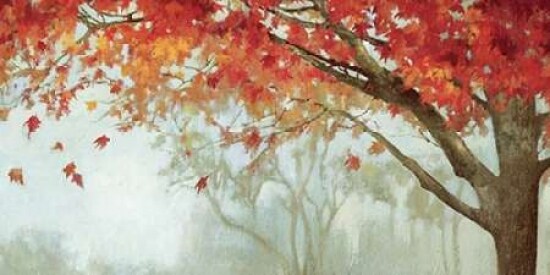 Fall Canopy II Poster Print by PI Studio
