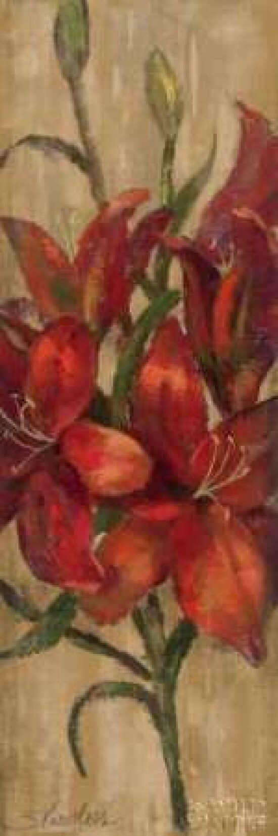 Vivid Red Lily on Gold Poster Print by Silvia Vassileva - Item # VARPDX4403