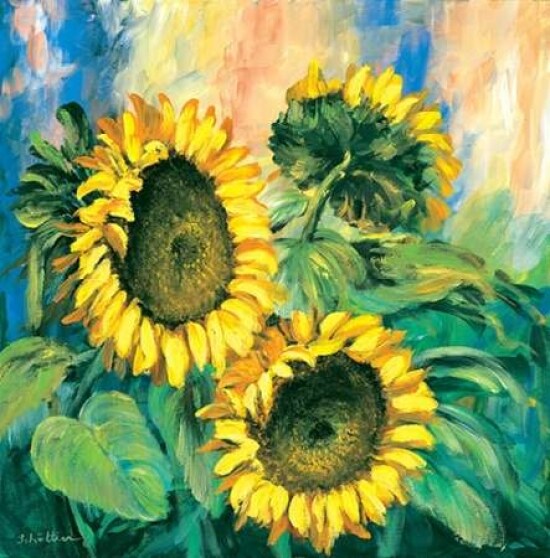 Sunflowers Poster Print by Katharina Schottler - Item # VARPDXKS004