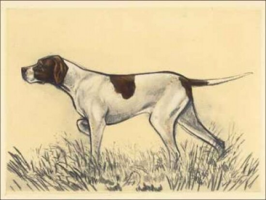 Hunting Dogs-Pointer Poster Print by Andres Collot - Item # VARPDXCC2710