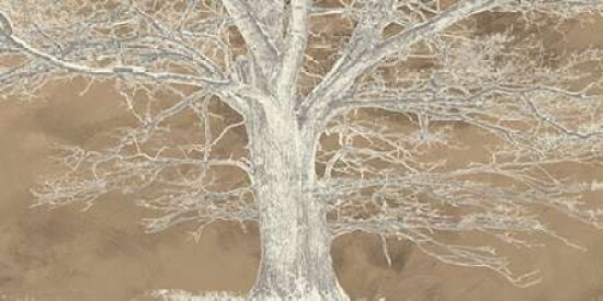 White Oak Poster Print by Alessio Aprile - Item # VARPDX2AI2350