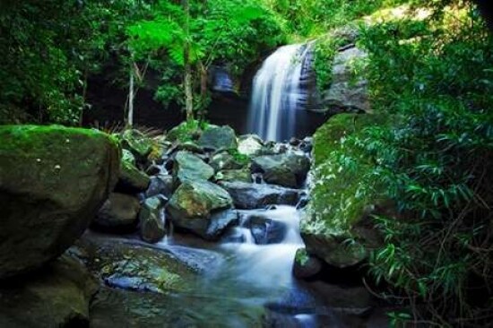 Hows The Serenity Poster Print by Tracie Louise - Item # VARPDXL814D