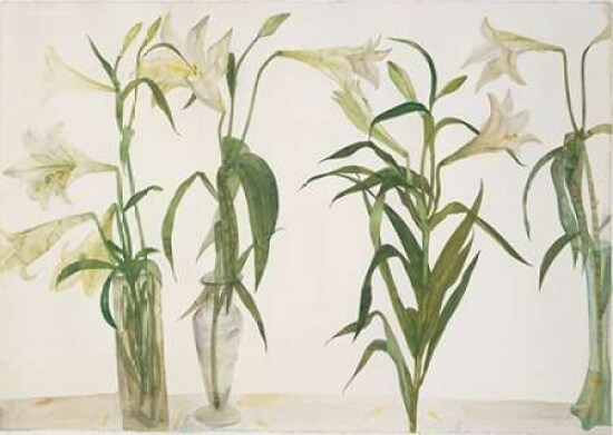 Green and White Lilies Poster Print by Elizabeth Blackadder - Item # VARPDXEBL04
