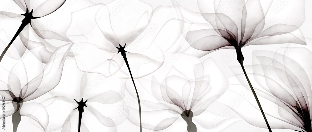 storefront banner