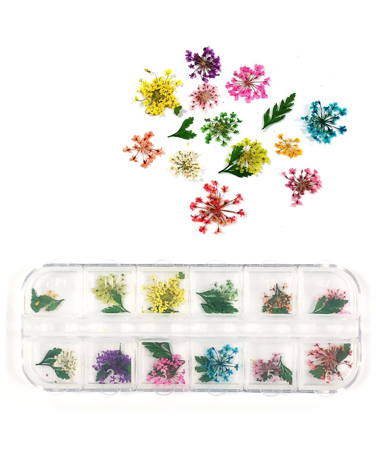 Wrapables Real Dry Flowers Nail Art 3d Flower Nail Decals Nail Manicure with Plastic Case (Set of 12), Sprig