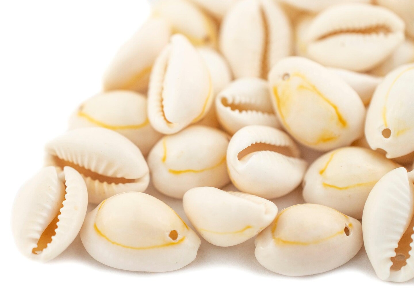 TheBeadChest Beige Drilled Cowrie Shells Large 13mm White Unusual 1