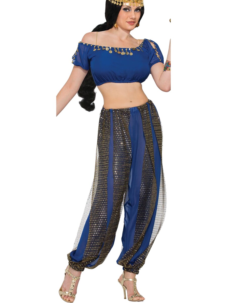Adult&#x27;s Womens Desert Dark Dancer Harem Belly Dancer Girl Costume