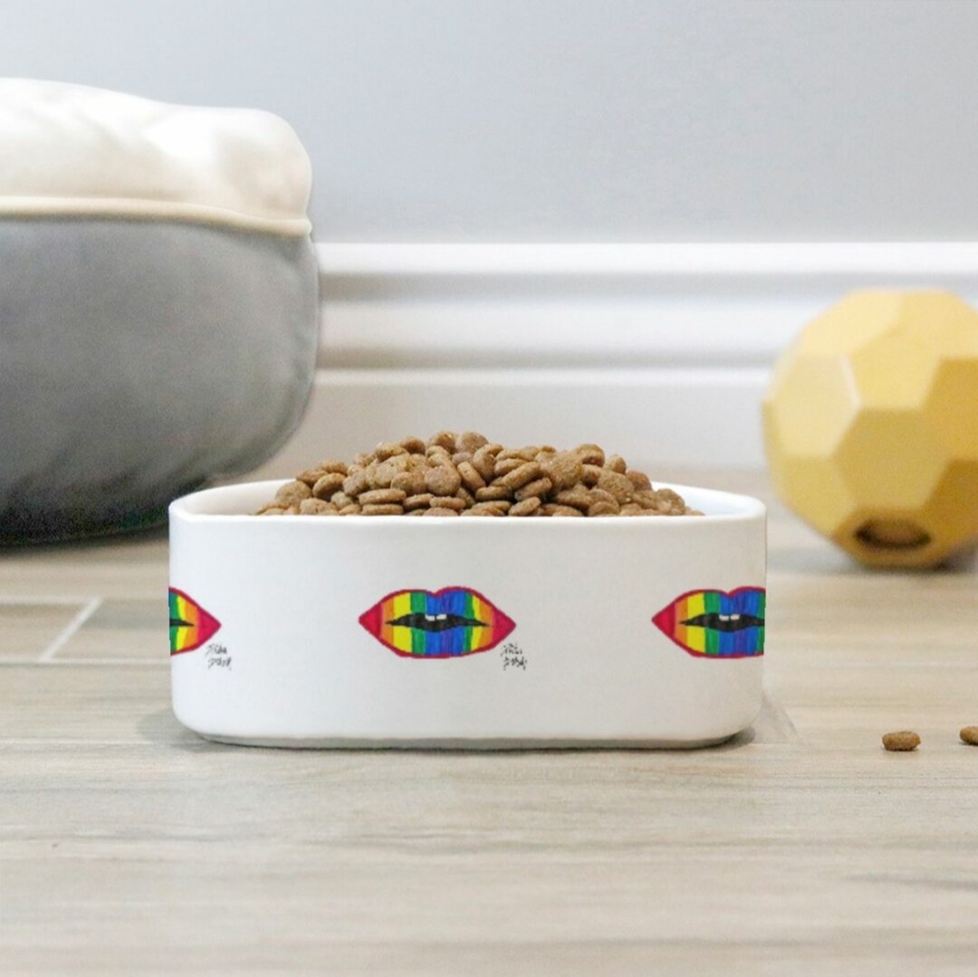 product name is Pride Baby pet bowl