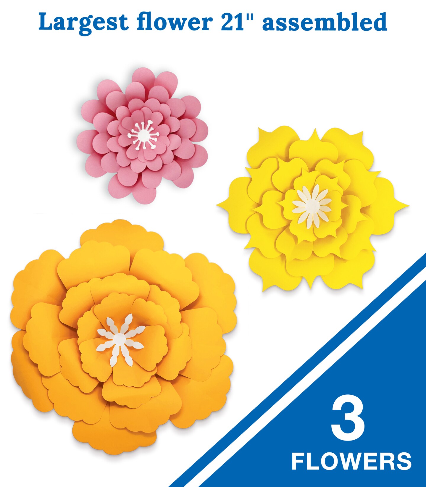 Happily Ever Elementary Decorations