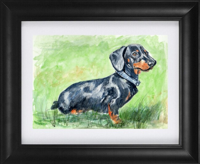 Bioworkz Dachshund high quality Dog Art Print, Pastel LE 23