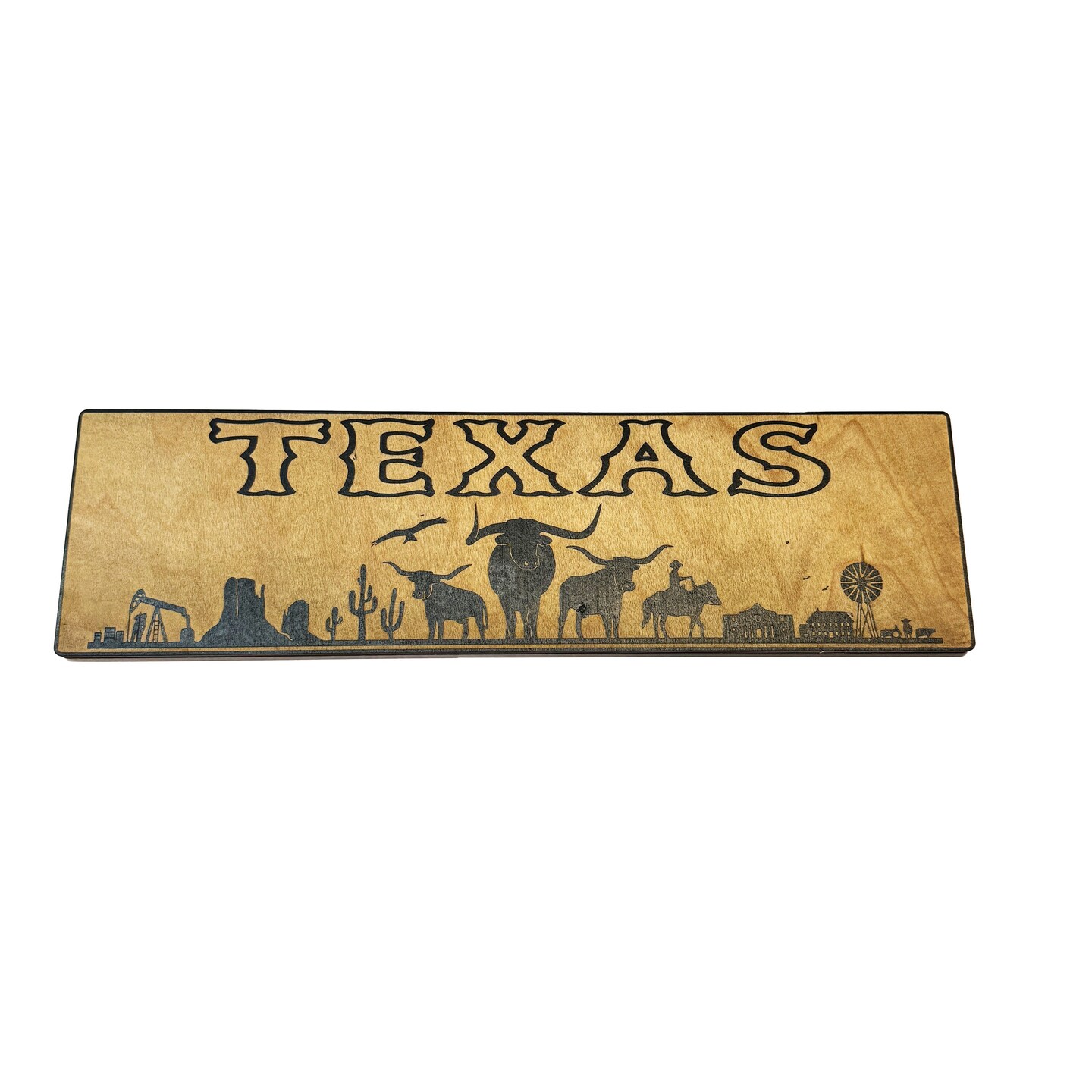 Texas Plaque with Landscape BLACK Sign 3x11