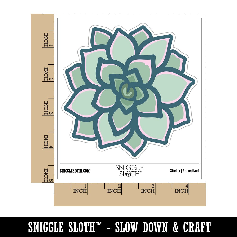 Succulent Plant Waterproof Vinyl Phone Tablet Laptop Water Bottle Sticker Set - 5 Pack