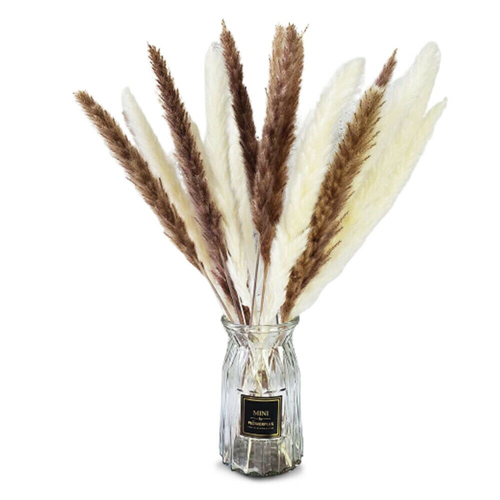 Kitcheniva 60PCS Natural Dried Pampas Grass Reed Flower