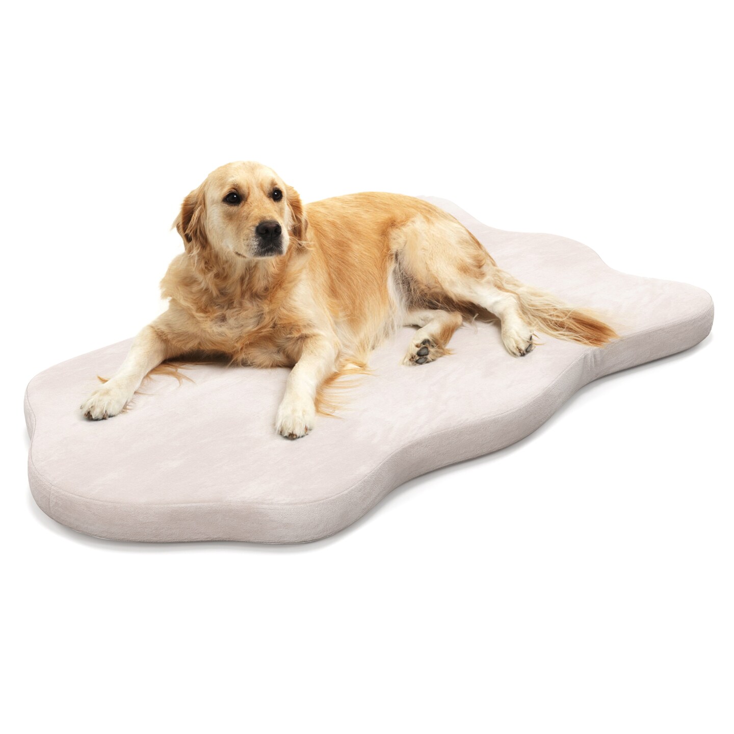 43"x26" Orthopedic Dog Bed with Memory Foam Waterproof Cover and Anti-Slip Bottom for Medium Dogs