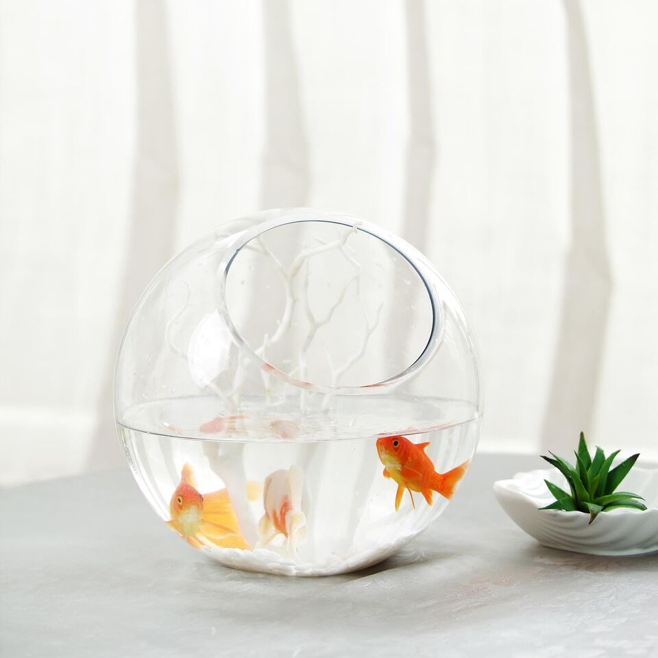 CLEAR 9&#x22; tall Slanted Glass Terrarium Vase
