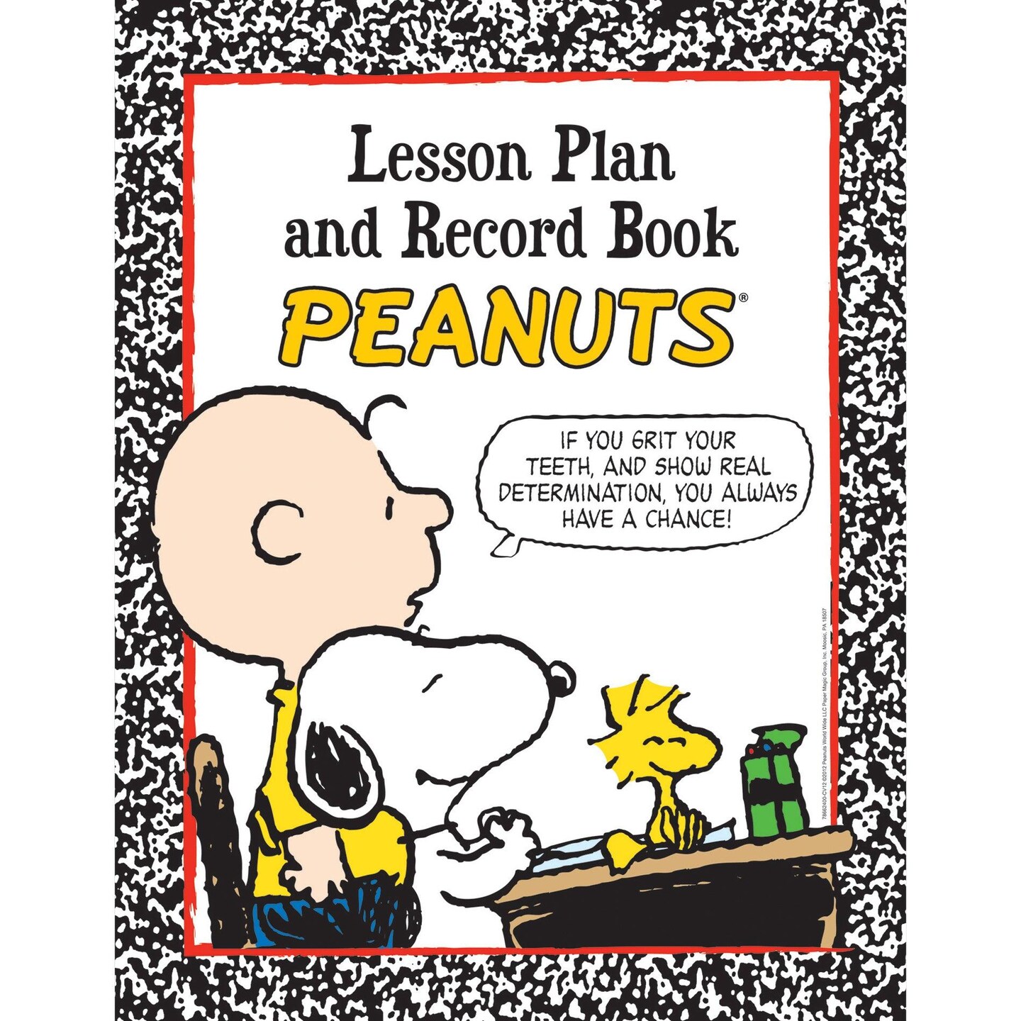 Peanuts&#xAE; Lesson Plan &#x26; Record Book, Pack of 2