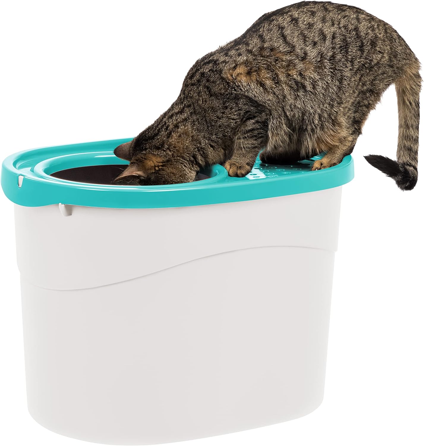 IRIS USA Top Entry Cat Litter Box with Litter Catching Lid, Privacy Walls and Scoop, Cat Pan