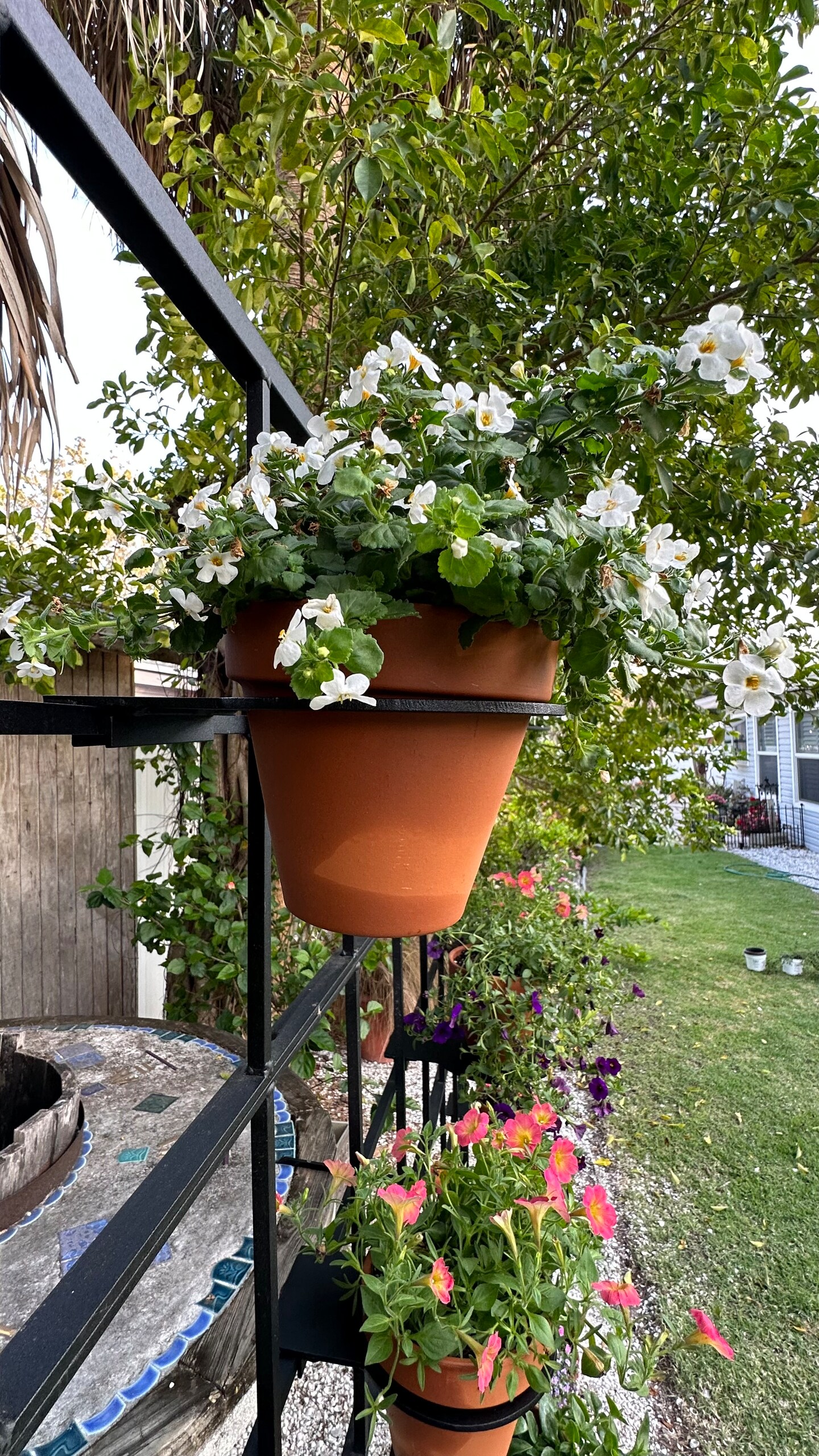 Metal Ring Pot Holders for Trellis, Hangs on Trellis cross bars or