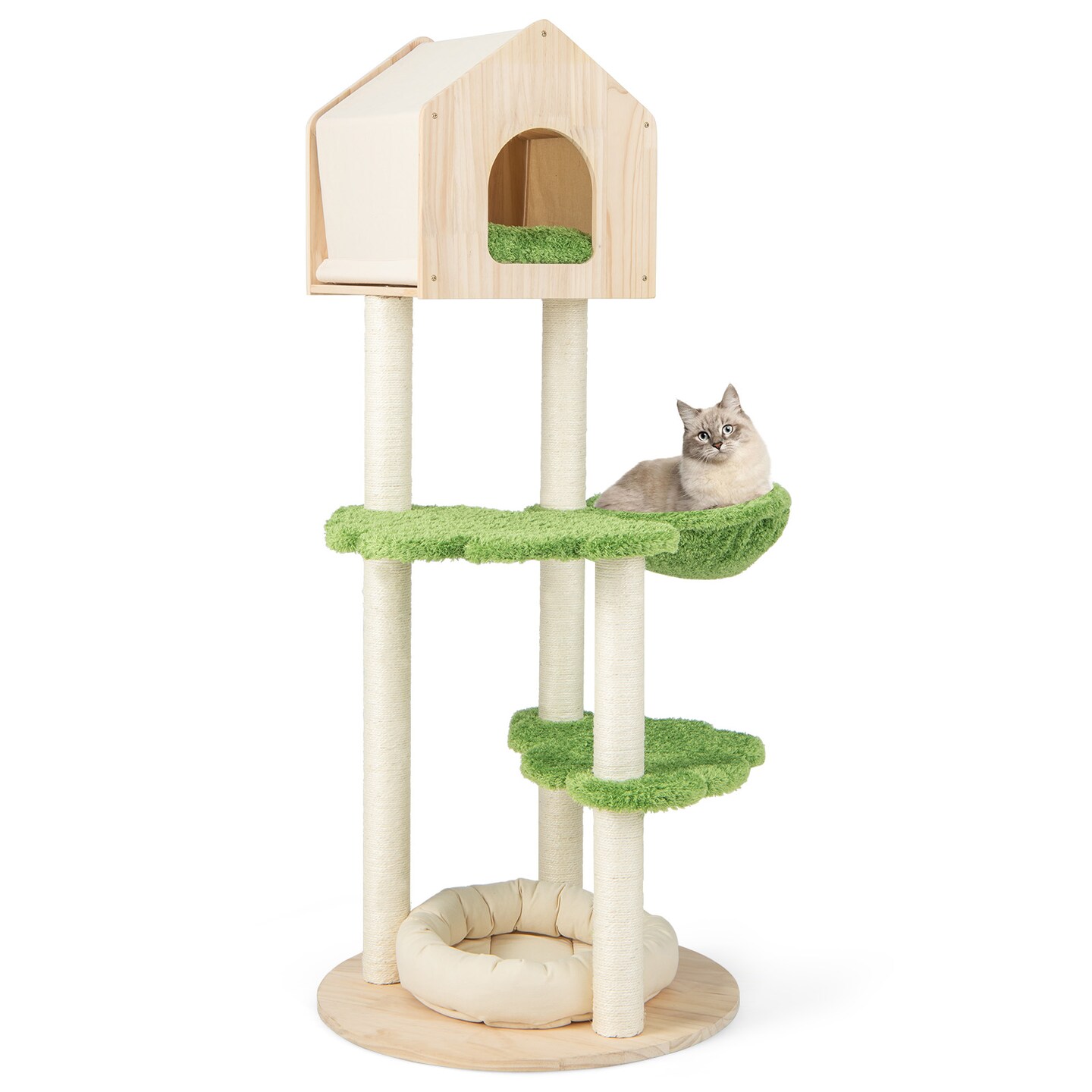 55 Inch Tall Cat Climbing Stand With Sisal Scratching Posts And Soft Cat Bed For Indoor Kittens
