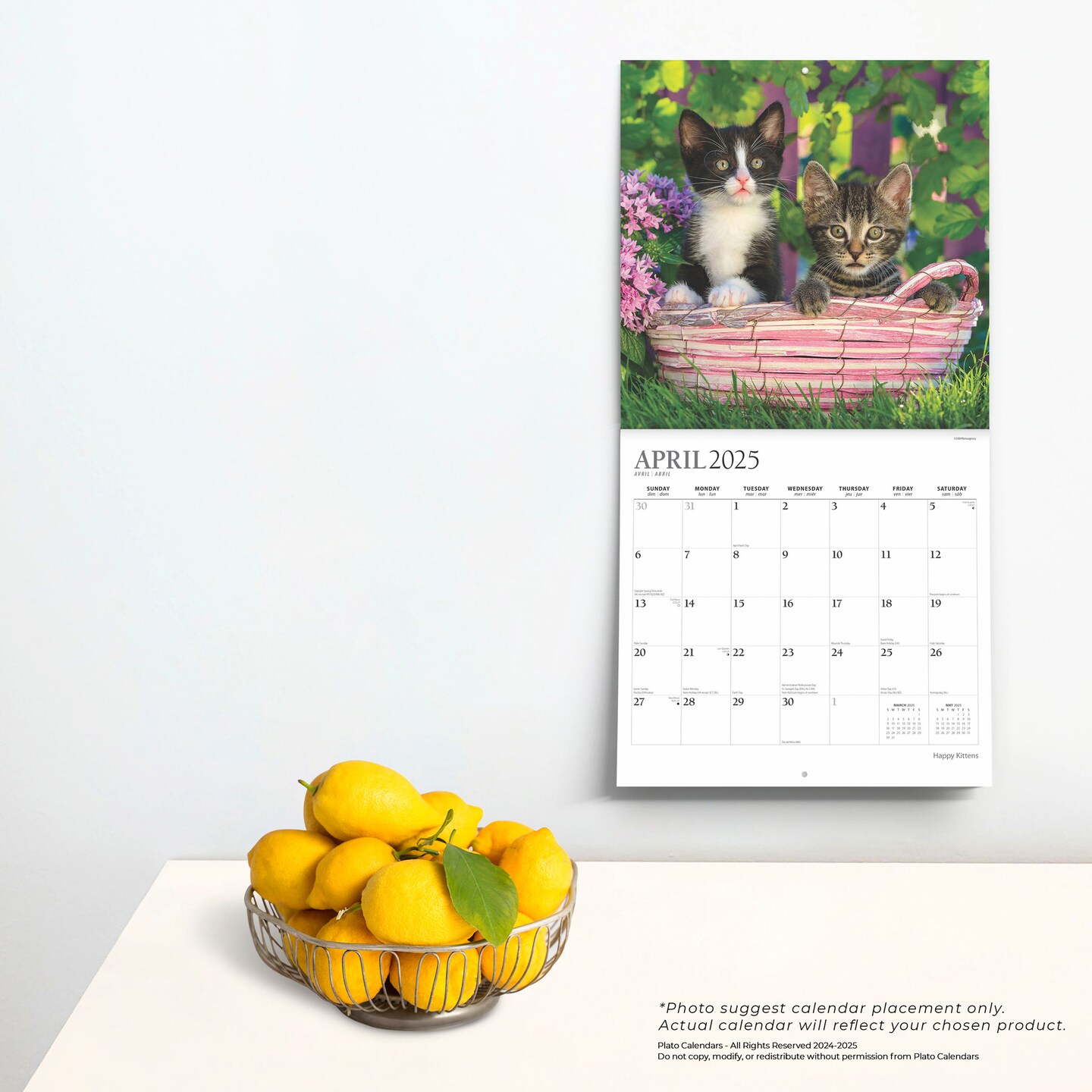 Happy Kittens | 2025 12 x 24 Inch 18 Months Monthly Square Wall Calendar | July 2024 - December 2025 | Plastic-Free | Plato | Animals Cats Feline
